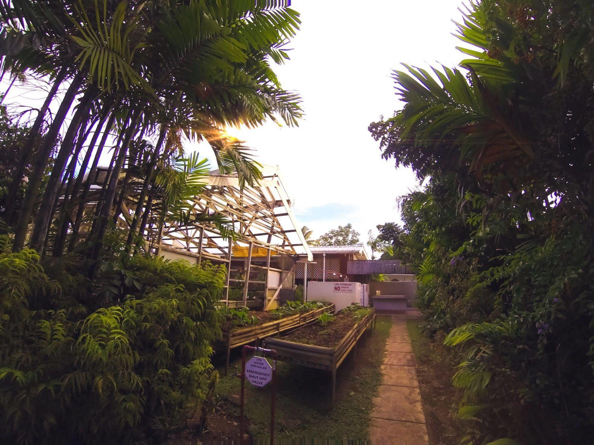 קראון פוינט Kariwak Village Holistic Haven מראה חיצוני תמונה